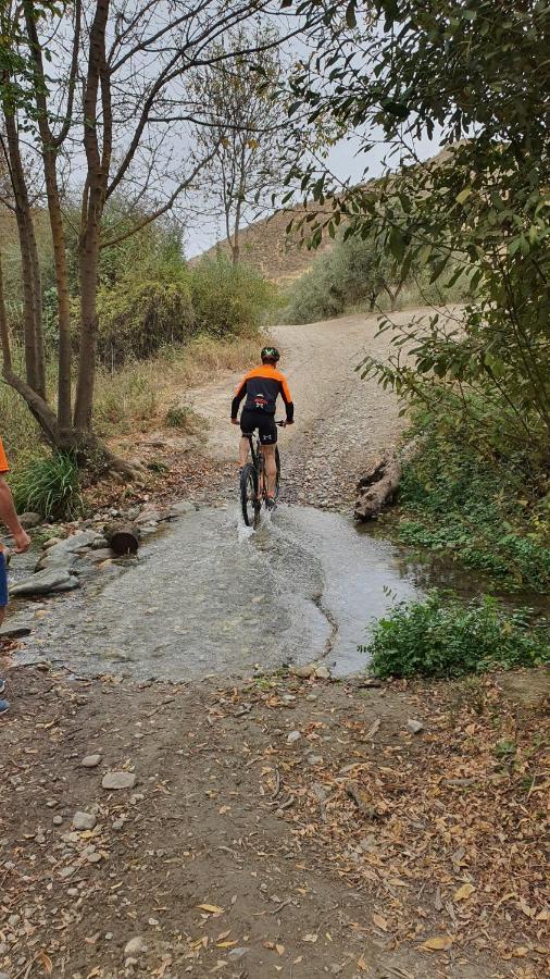 La Colina Ladyblue Apto Acogedor Cerca De Sierra Nevada Y Alhambra Cenes De La Vega Εξωτερικό φωτογραφία