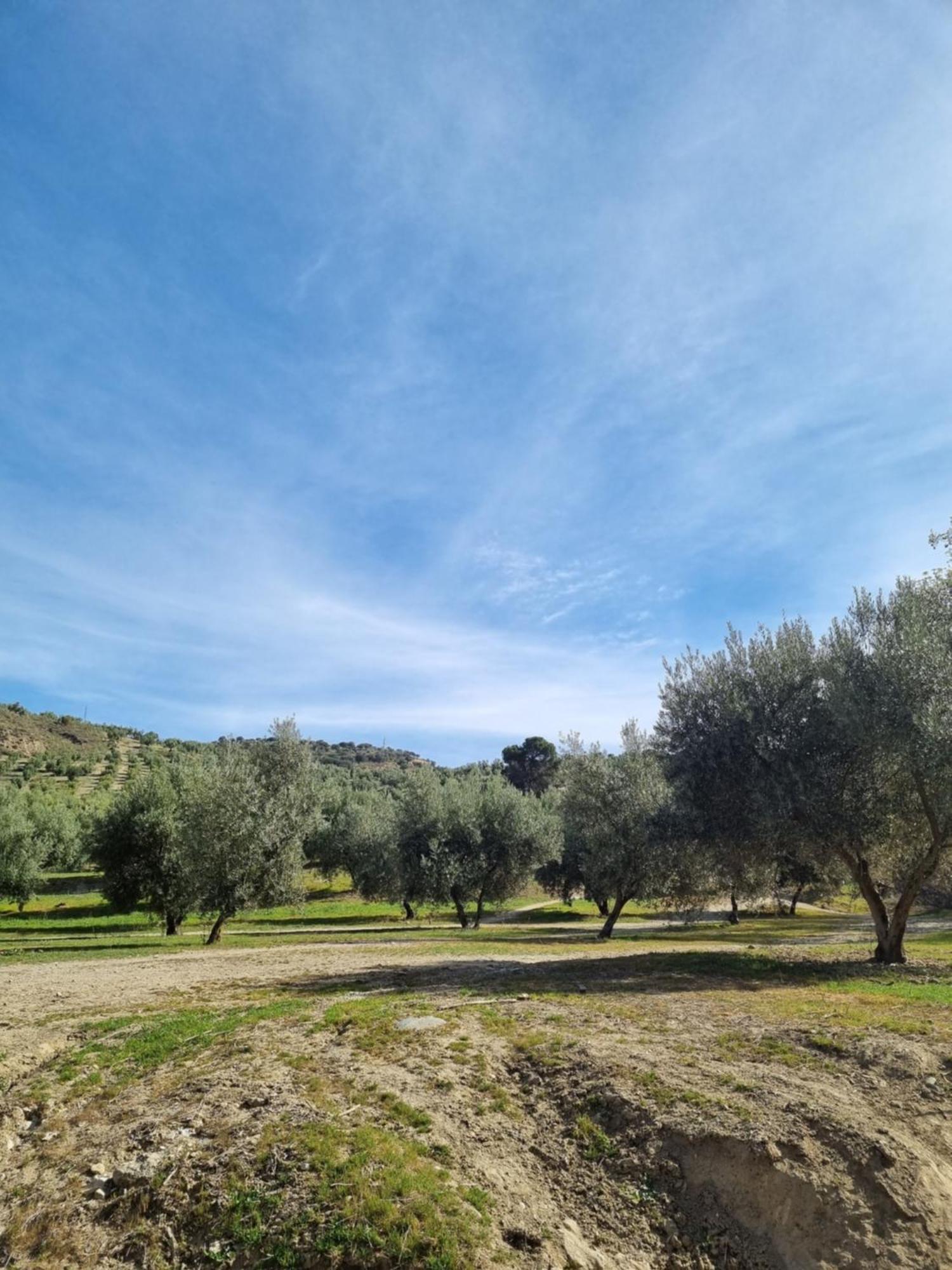 La Colina Ladyblue Apto Acogedor Cerca De Sierra Nevada Y Alhambra Cenes De La Vega Εξωτερικό φωτογραφία