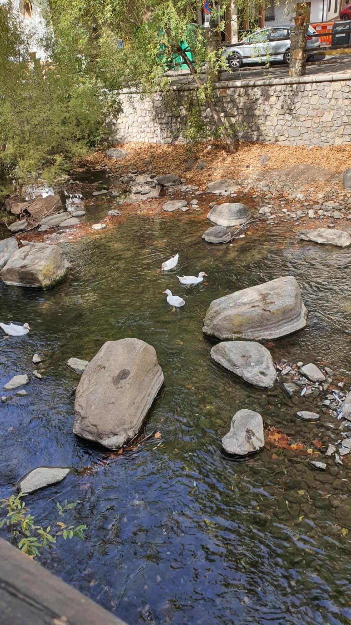 La Colina Ladyblue Apto Acogedor Cerca De Sierra Nevada Y Alhambra Cenes De La Vega Εξωτερικό φωτογραφία